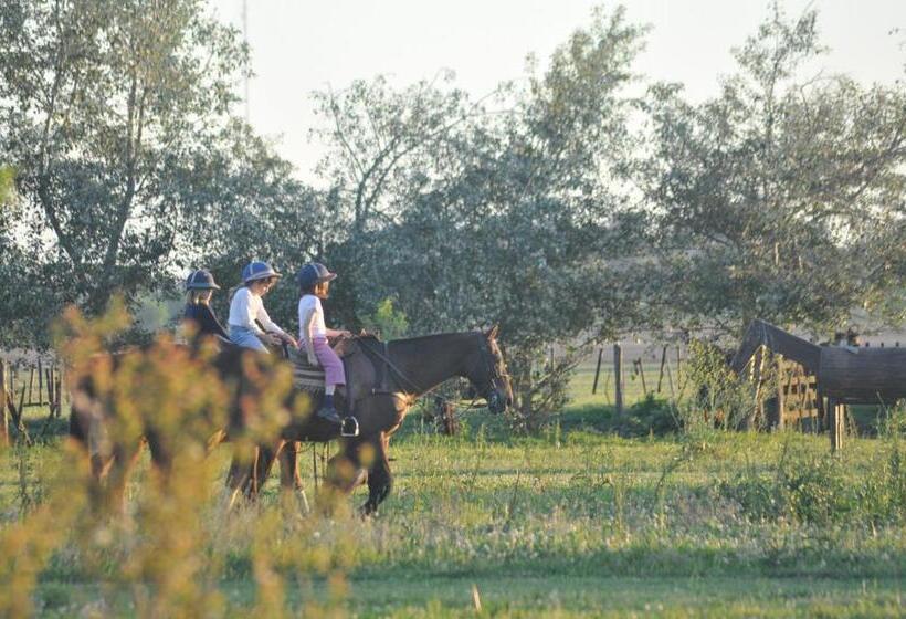 فندق Estancia La Sofia