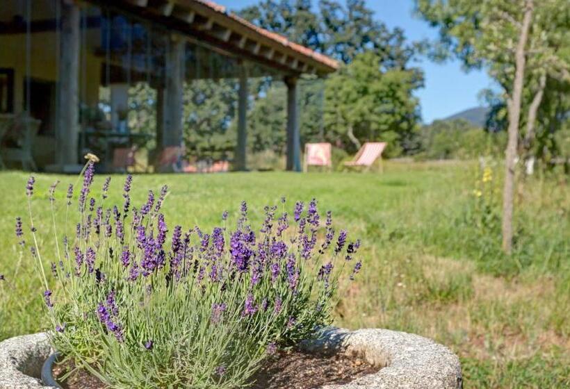 호텔 Finca Fuente Techada   Adults Only