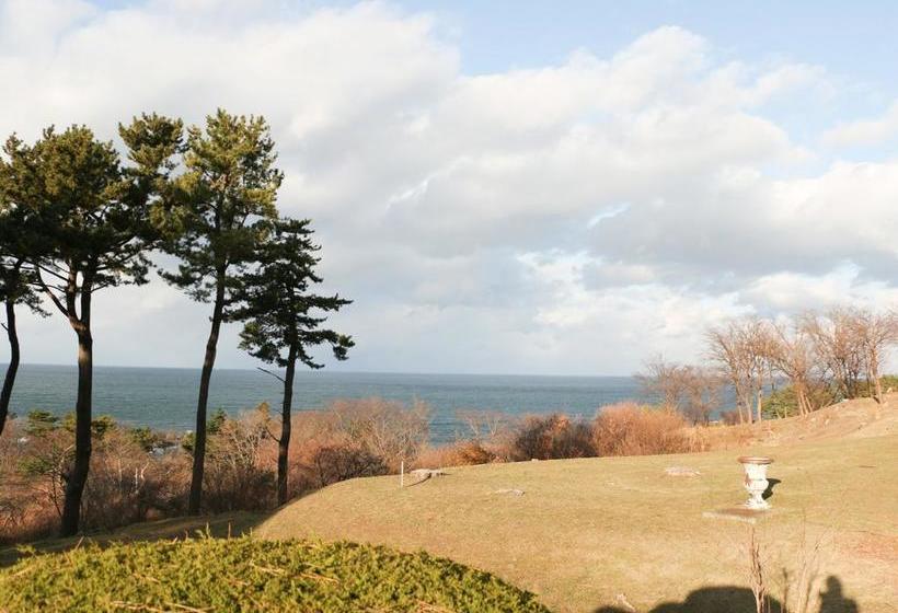 Отель Hachinohe Seagull View