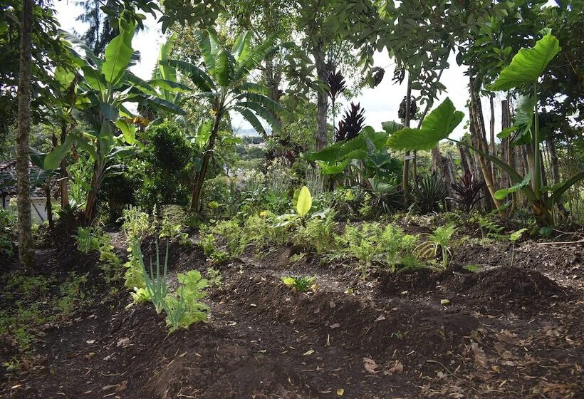 ホテル La Casa De Francois