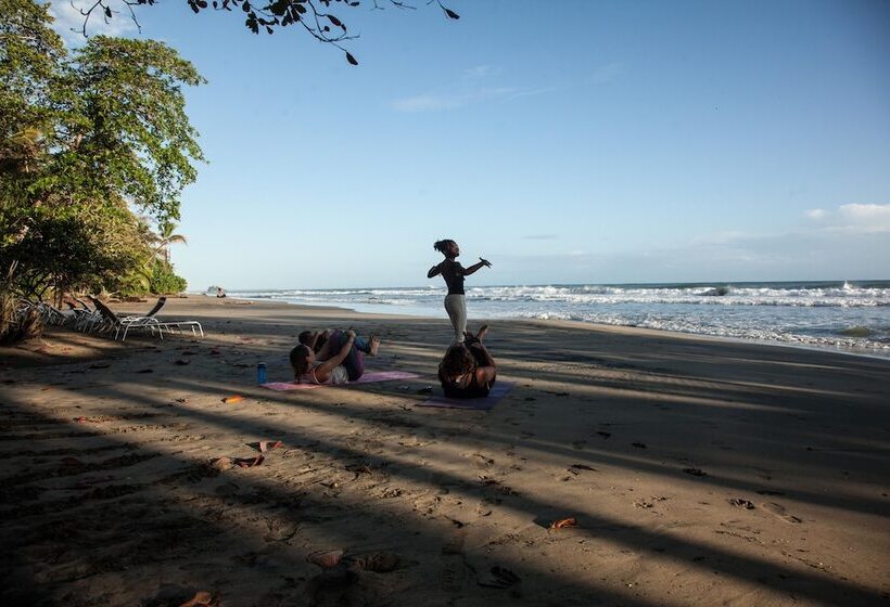酒店 Lapalapa Beachfront