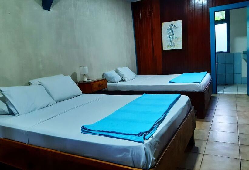 酒店 Lapalapa Beachfront