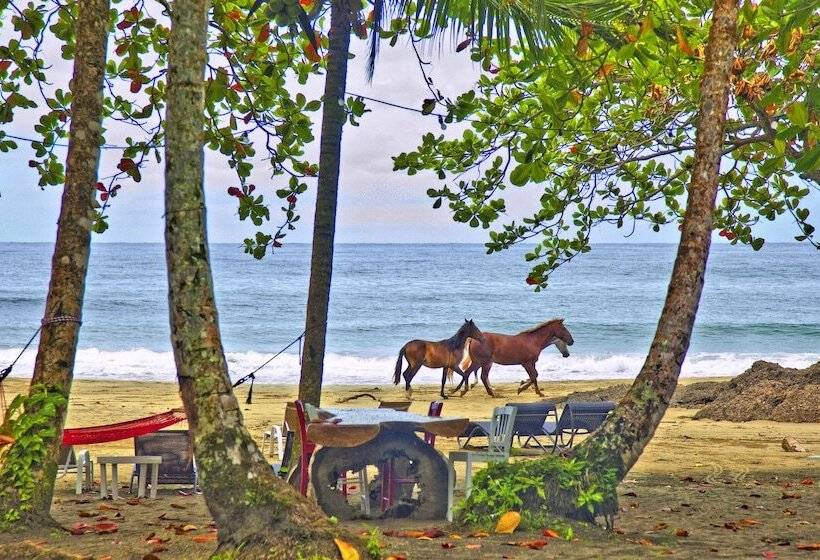 فندق Lapalapa Beachfront