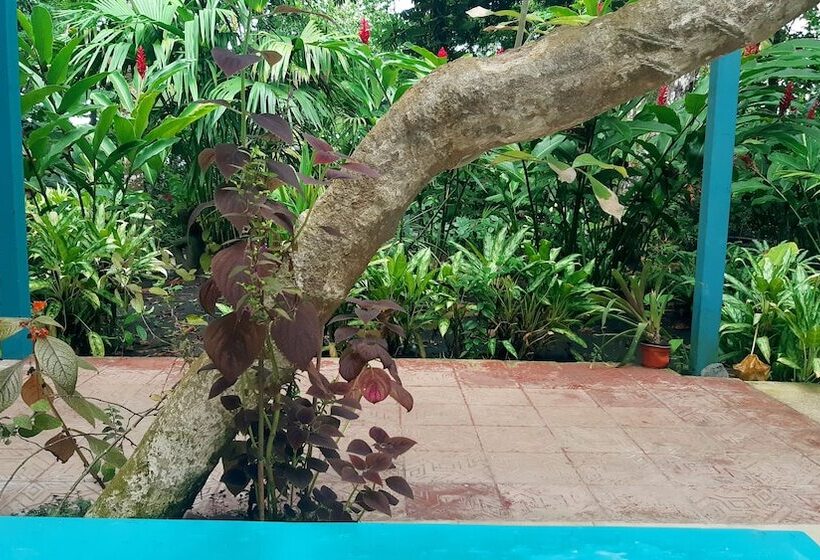 酒店 Lapalapa Beachfront