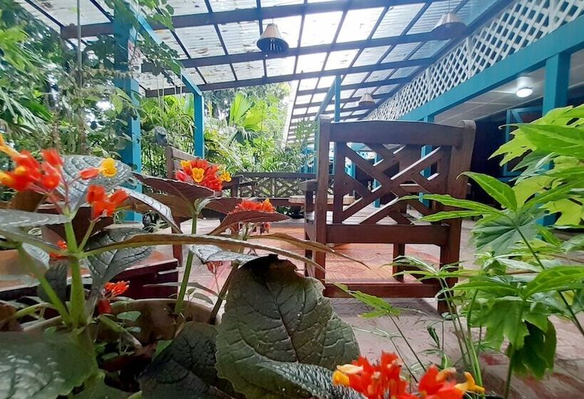 فندق Lapalapa Beachfront