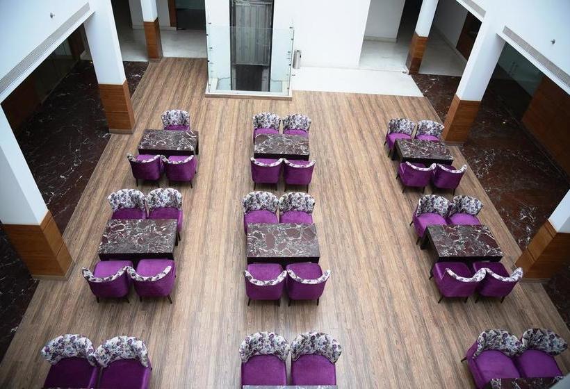 בית מלון כפרי The Amor