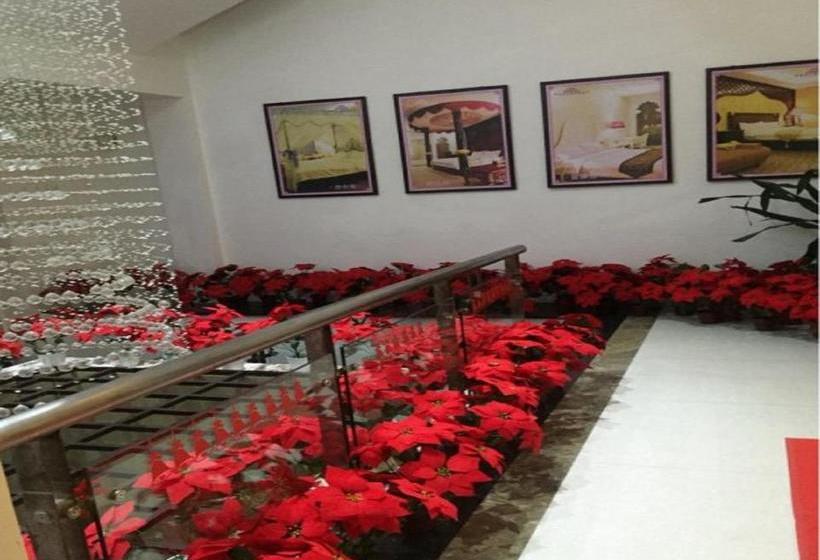 酒店 Xiamen Alice Personality Classic