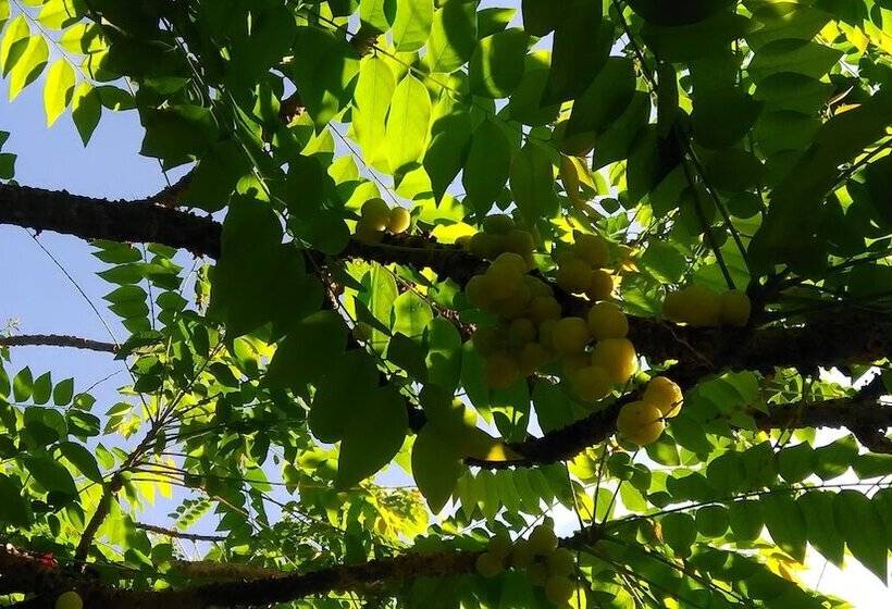 모텔 Inapan Aishah