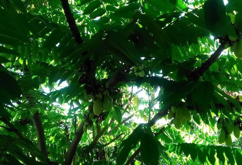 모텔 Inapan Aishah