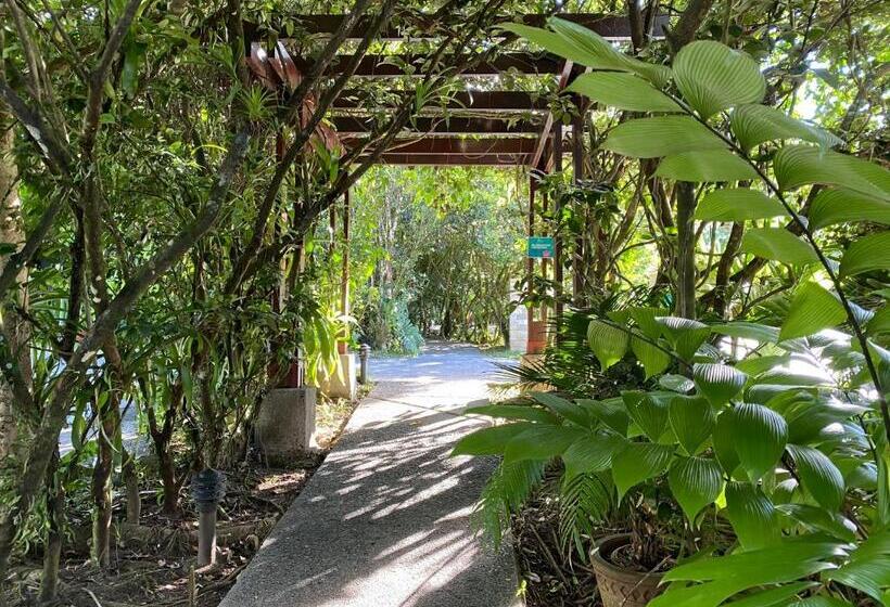 אתר נופש Paradise Hot Springs