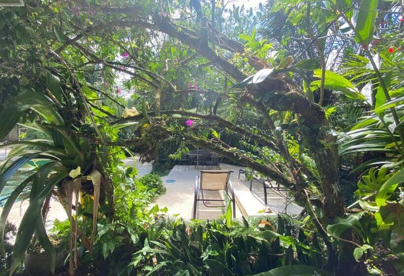 אתר נופש Paradise Hot Springs