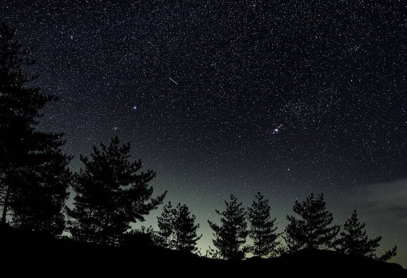 ריוקאן Nukumorino Yado Komanoyu