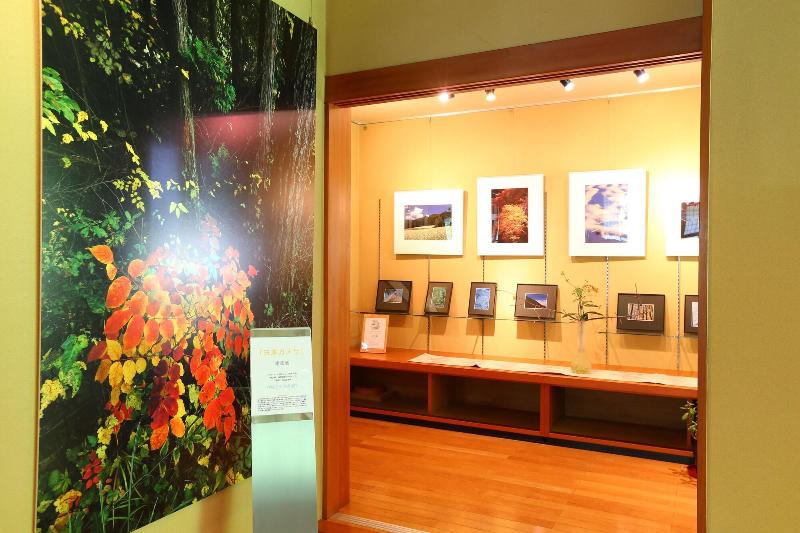 ריוקאן Nukumorino Yado Komanoyu