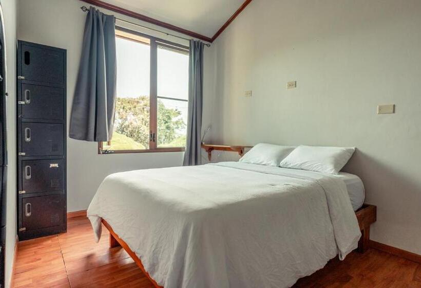 Общежитие Bambuda Castle