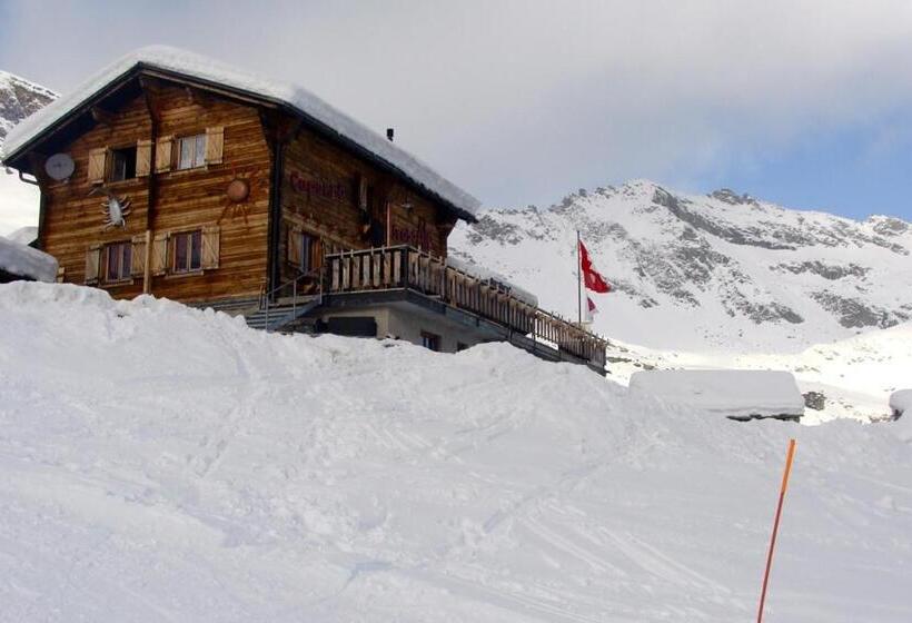 호스텔 Casa Di Vacanza Giovanibosco