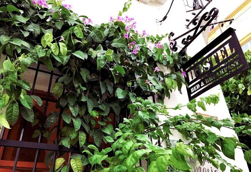 הוסטל Casa La Bella Samaria Boutique