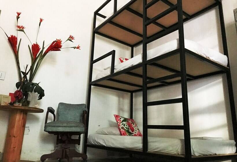 הוסטל Casa La Bella Samaria Boutique