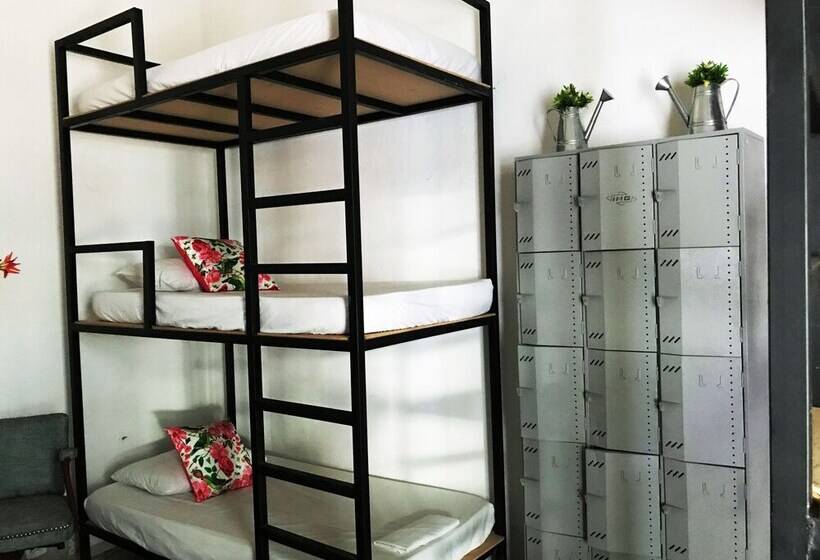 הוסטל Casa La Bella Samaria Boutique