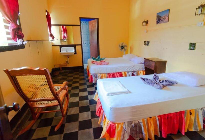 فندق صغير Hostal Lazybones