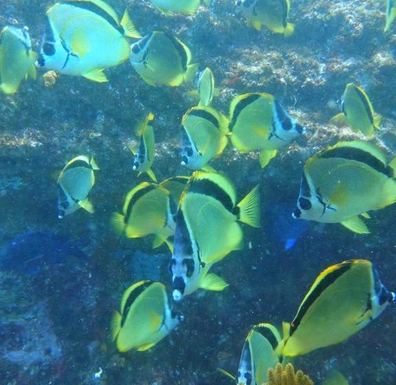 فندق صغير Hostal Surf Olón