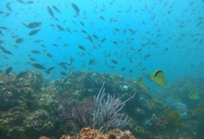 فندق صغير Hostal Surf Olón