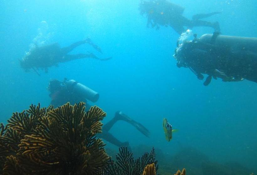 هاستل Hostal Surf Olón