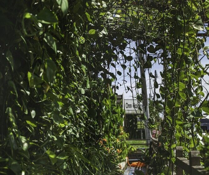 فندق صغير House Of My Eternal Love   Kulai Homestay