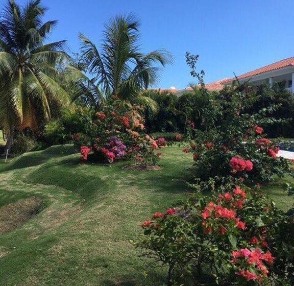 住宿加早餐 Cocotal Bavaro 460