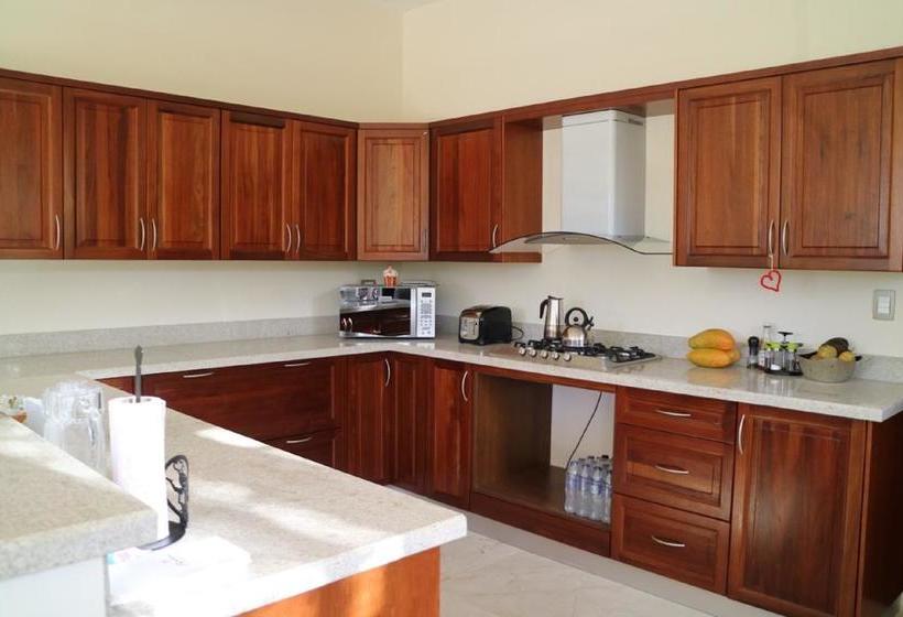 住宿加早餐 Cocotal Bavaro 460