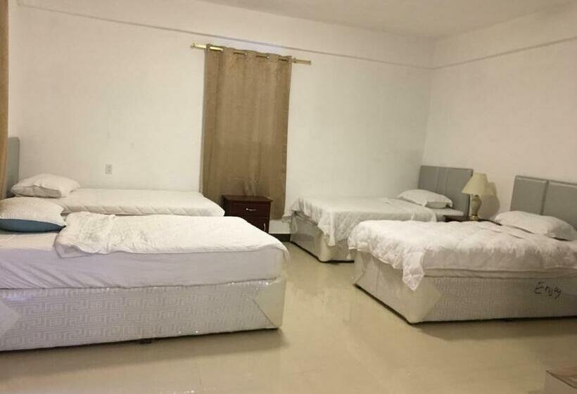 住宿加早餐  Enjoy