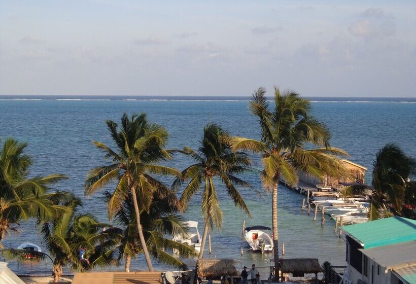 住宿加早餐  Enjoy