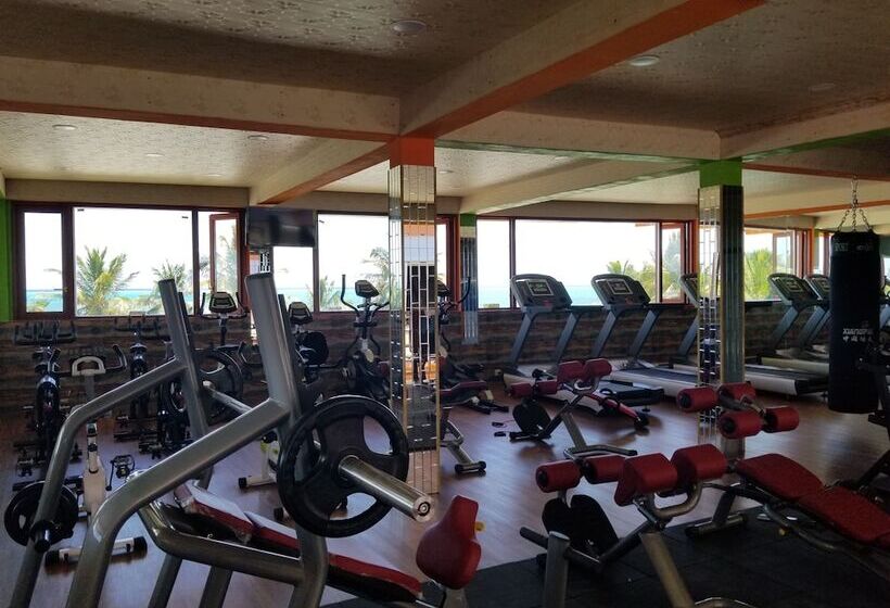 住宿加早餐  Enjoy