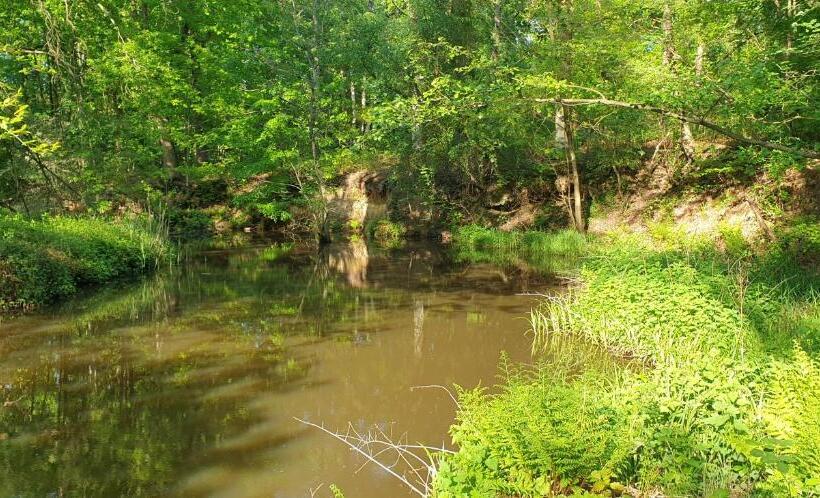 ベッドアンドブレックファースト Kasteel Aldenghoor