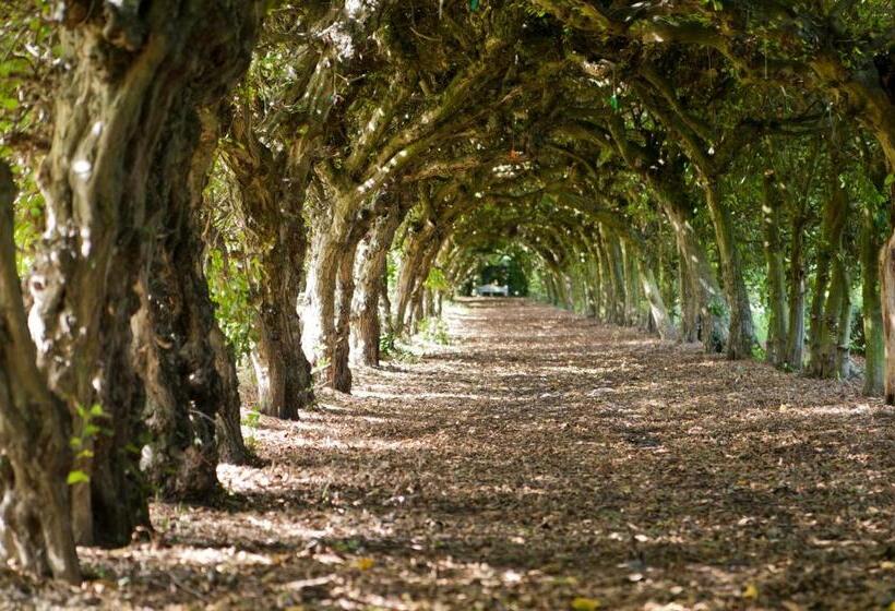 ベッドアンドブレックファースト Kasteel Aldenghoor