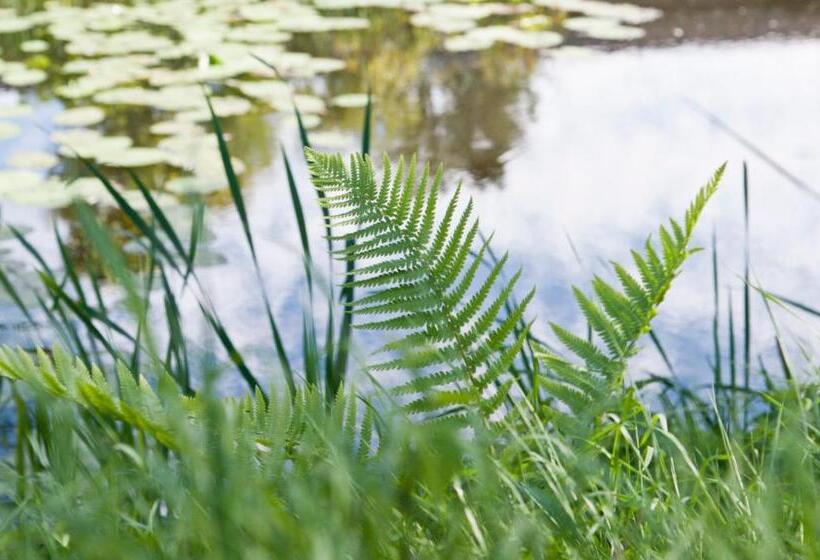 ベッドアンドブレックファースト Kasteel Aldenghoor