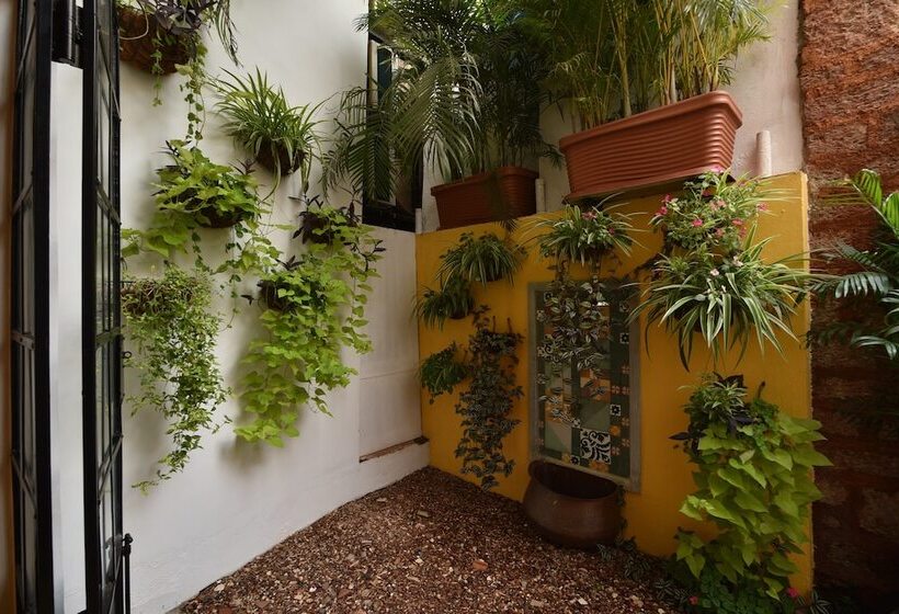 צימר Mateus Boutique