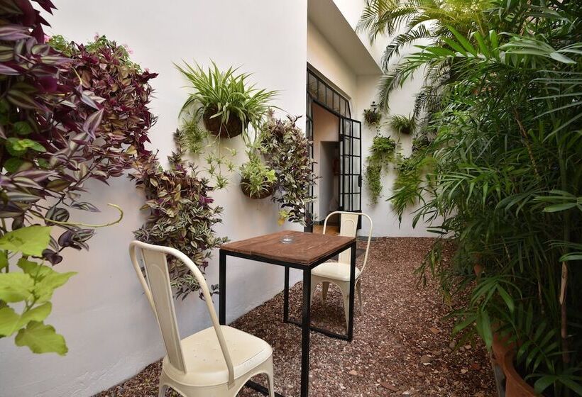 مبيت وإفطار Mateus Boutique