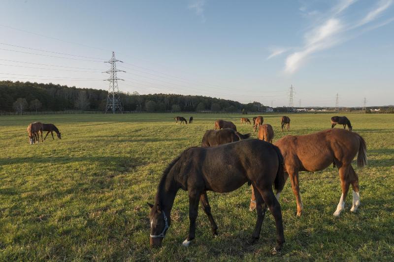 住宿加早餐  North Gate Inn Abira