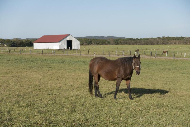 住宿加早餐  North Gate Inn Abira