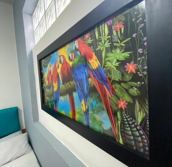 Havana Hostel Cali & Dance School