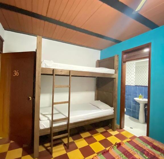 Havana Hostel Cali & Dance School