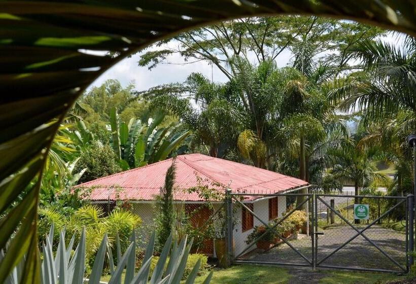 בית מלון כפרי Cabañas Las Bifloras