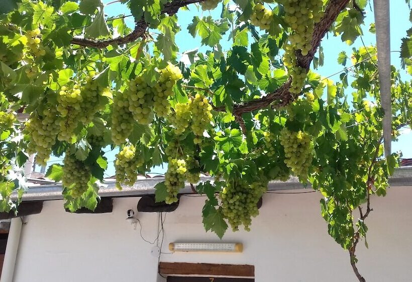 酒店 Hostal Tierra De Vinos