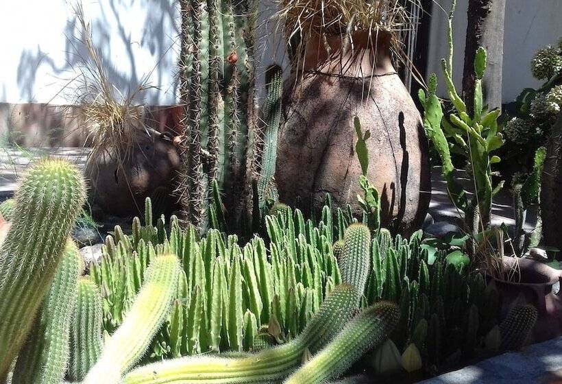 酒店 Hostal Tierra De Vinos