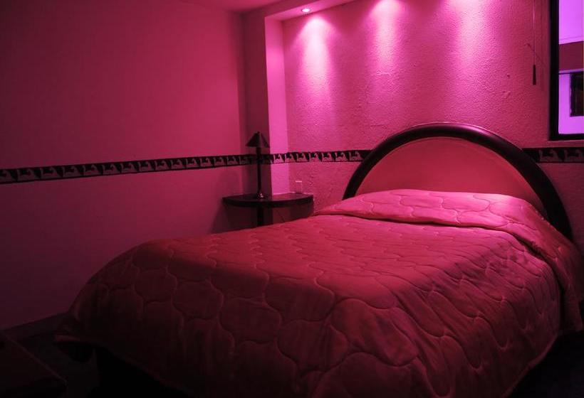 ホテル Humming Bird Ecuador