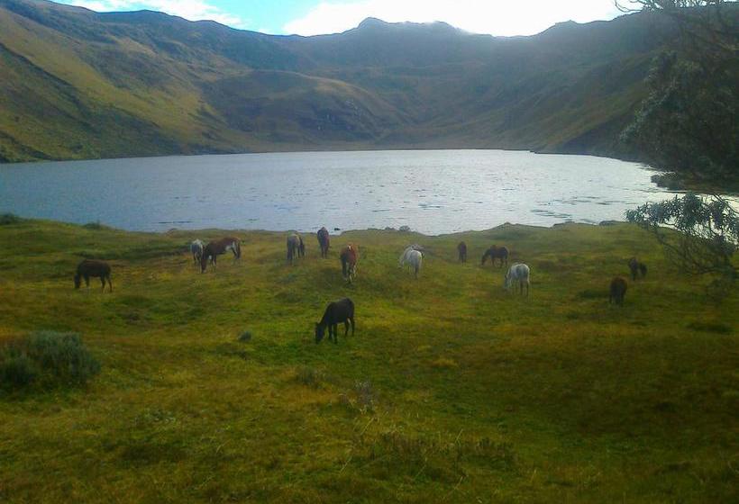 ホテル Humming Bird Ecuador