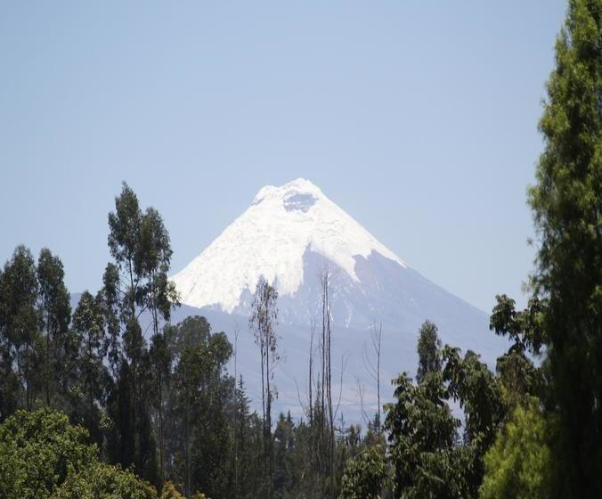 ホテル Humming Bird Ecuador