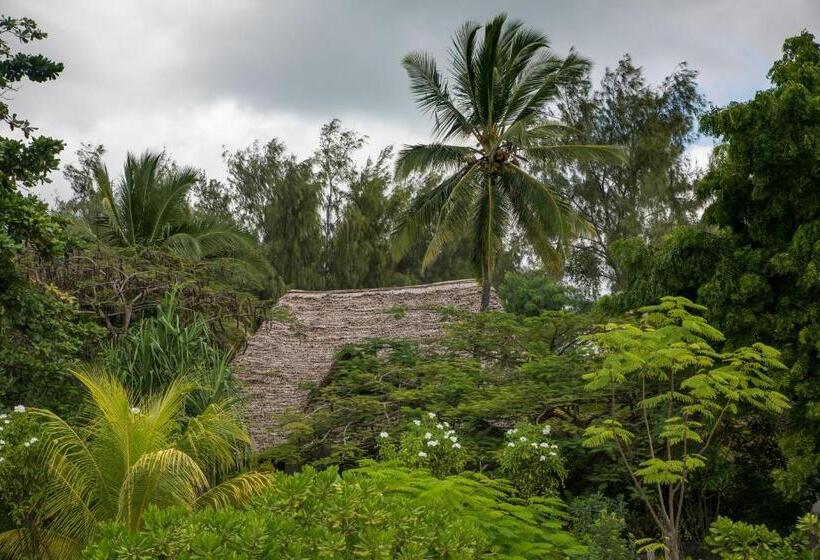 Отель Ifa Beach Resort