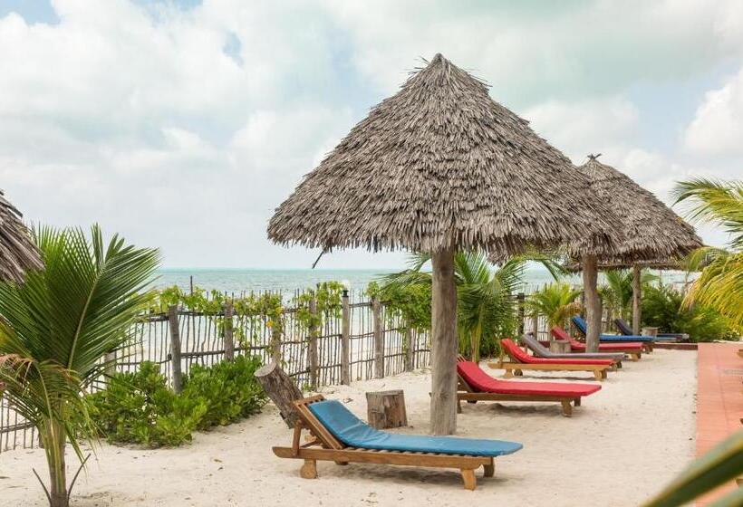 Отель Ifa Beach Resort