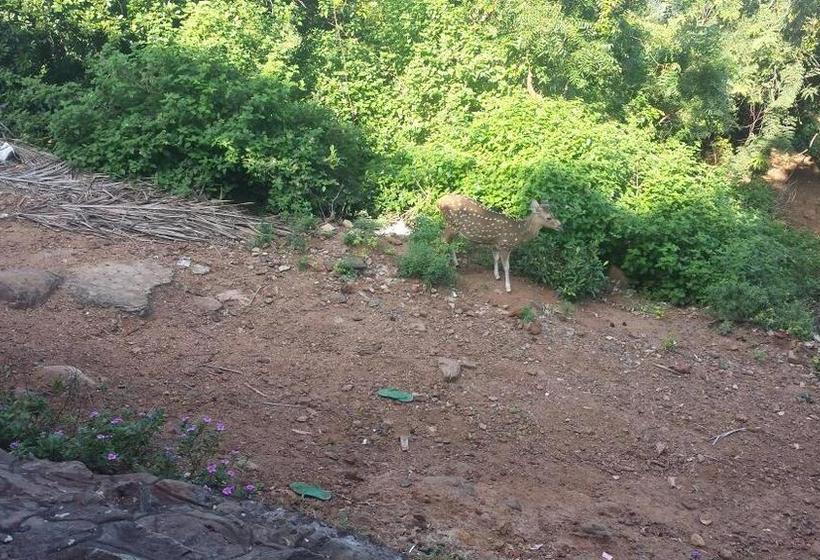 فندق Island Breeze Inn